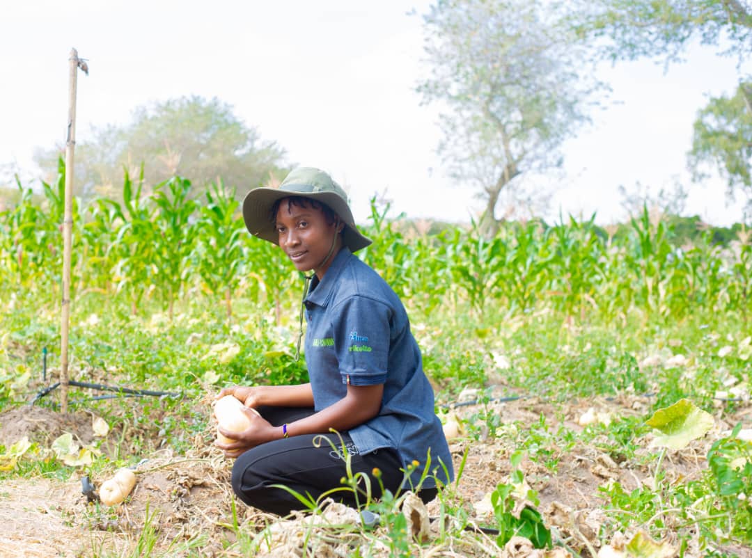 Agribusiness Innovation